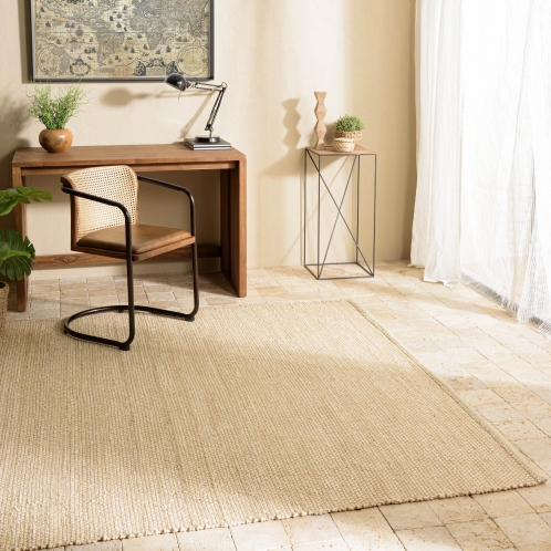 https://www.dpi-import.com/11897-thick_dpi-import/tapis-rectangulaire-160x230cm-en-jute-et-coton-beige-.jpg