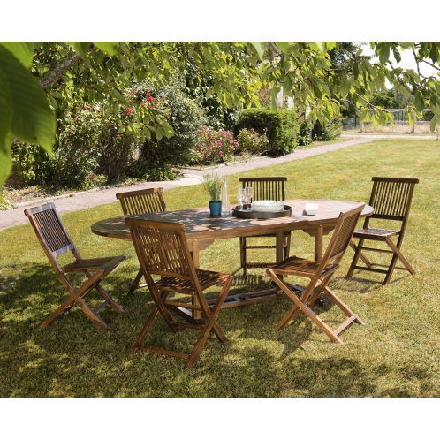 https://www.dpi-import.com/8377-thick_dpi-import/salon-de-jardin-en-bois-teck-huile-810-personnes-1-table-ovale-extensible-180240100-cm-et-6-chaises.jpg